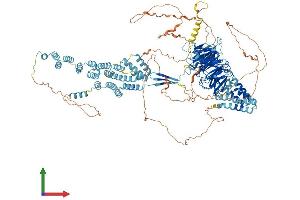 Protein Structure (PS) image for SEC31 Homolog A (SEC31A) (AA 1-1220) protein (His tag) (ABIN7555360)