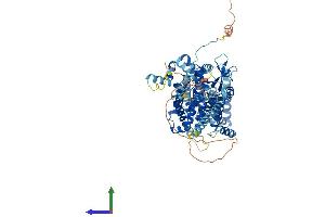Protein Structure (PS) image for Solute Carrier Family 26, Member 6 (SLC26A6) (AA 1-759) protein (His tag) (ABIN7555327)
