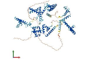 AlphaFold protein structure predicition of Human Recombinant UBTF Protein, UniprotID P17480