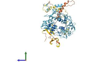 Protein Structure (PS) image for PR Domain Containing 5 (PRDM5) (AA 1-630) protein (His tag) (ABIN7555078)