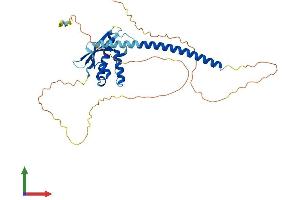 Protein Structure (PS) image for Sorting Nexin 16 (SNX16) (AA 1-344) protein (His tag) (ABIN7546332)