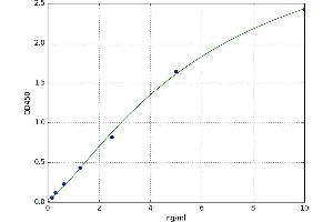 A typical standard curve (DKK4 ELISA 试剂盒)