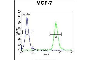 Flow cytometric analysis of MCF-7 cells (right histogram) compared to a negative control cell (left histogram). (TTPAL 抗体  (C-Term))