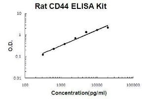 Rat CD44 PicoKine ELISA Kit standard curve