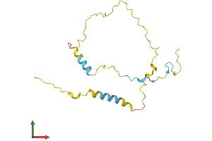 Protein Structure (PS) image for Chromosome 9 Open Reading Frame 25 (C9orf25) (AA 1-157) protein (His tag) (ABIN7561070)