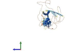 Protein Structure (PS) image for Liprin-beta-2 (PPFIBP2) (AA 1-882) protein (His tag) (ABIN7562369)