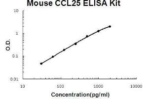 Mouse CCL25/TECK PicoKine ELISA Kit standard curve (CCL25 ELISA 试剂盒)