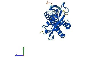 AlphaFold protein structure predicition of Mouse Recombinant Cml5 Protein, UniprotID Q9QXS8
