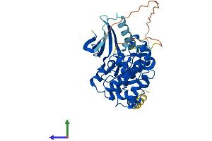 Protein Structure (PS) image for Cyclin-Dependent Kinase-Like 1 (CDC2-Related Kinase) (CDKL1) (AA 1-352) protein (His tag) (ABIN7559290)