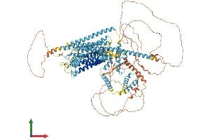 AlphaFold protein structure predicition of Human Recombinant TMC3 Protein, UniprotID Q7Z5M5 (Tmc3 Protein (AA 1-1100) (His tag))