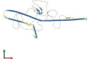 Protein Structure (PS) image for RAB11 Family Interacting Protein 3 (Class II) (RAB11FIP3) (AA 1-756) protein (His tag) (ABIN7555154)