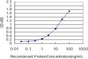 Detection limit for recombinant GST tagged JAM2 is approximately 0. (JAM2 抗体  (AA 29-298))
