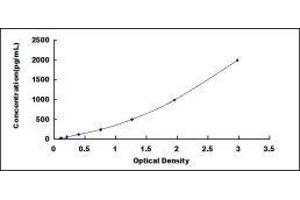 Cardiac Troponin I (TNNI3) ELISA Kit