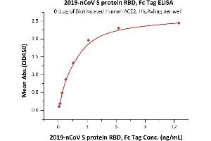 ELISA image for SARS-CoV-2 Spike S1 (RBD) protein (Fc Tag) (ABIN6952462)