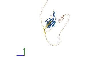 Protein Structure (PS) image for Smad Nuclear Interacting Protein 1 (SNIP1) (AA 1-383) protein (His tag) (ABIN7558689)