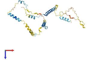 AlphaFold protein structure predicition of Human Recombinant C9orf78 Protein, UniprotID Q9NZ63