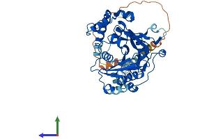 Protein Structure (PS) image for UDP-N-Acetyl-alpha-D-Galactosamine:polypeptide N-Acetylgalactosaminyltransferase-Like 5 (GALNTL5) (AA 1-443) protein (His tag) (ABIN7548072)