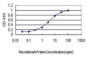 Detection limit for recombinant GST tagged IL20 is approximately 0. (IL-20 抗体  (AA 67-176))