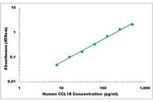 Representative Standard Curve (CCL18 ELISA 试剂盒)