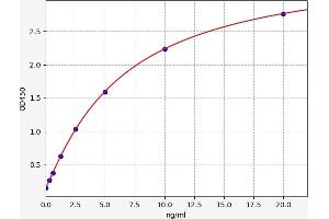 Typical standard curve (Glucocorticoid Receptor ELISA 试剂盒)
