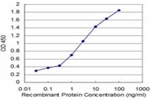 Detection limit for recombinant GST tagged NUPL1 is approximately 0. (NUPL1 抗体  (AA 323-422))