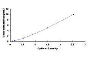 ELISA image for serine/arginine-Rich Splicing Factor 2 (SRSF2) ELISA Kit (ABIN420717)