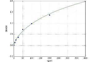 IgG3 ELISA Kit