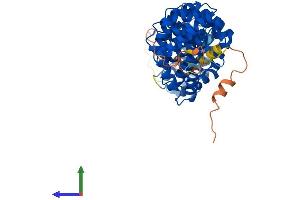 Protein Structure (PS) image for Karyopherin alpha 7 (Importin alpha 8) (KPNA7) (AA 1-499) protein (His tag) (ABIN7562079)