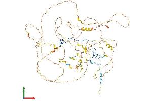 Protein Structure (PS) image for Cancer Susceptibility Candidate 3 (CASC3) (AA 1-703) protein (His tag) (ABIN7553031)