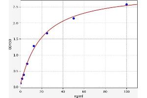 Typical standard curve (Prostaglandin E Synthase ELISA 试剂盒)