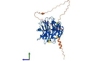 Protein Structure (PS) image for Sialidase 4 (NEU4) (AA 1-478) protein (His tag) (ABIN7559047)