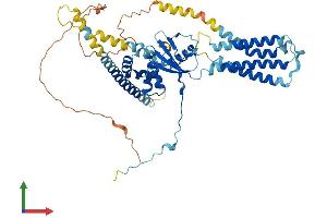 AlphaFold protein structure predicition of Human Recombinant VANGL1 Protein, UniprotID Q8TAA9
