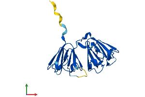 Protein Structure (PS) image for Crystallin, beta A2 (CRYbA2) (AA 1-197) protein (His tag) (ABIN7546765)