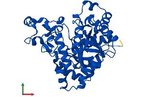 Protein Structure (PS) image for Phosphotriesterase Related (PTER) (AA 1-349) protein (His tag) (ABIN7557630)