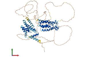 Protein Structure (PS) image for Sterile alpha Motif Domain Containing 4A (SAMD4A) (AA 1-711) protein (His tag) (ABIN7559240)