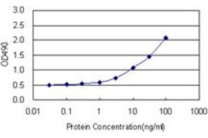Sandwich ELISA detection sensitivity ranging from 1 ng/mL to 100 ng/mL. (AK1 (人) Matched Antibody Pair)