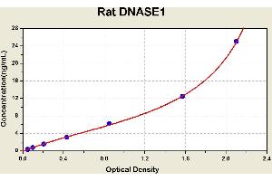 Diagramm of the ELISA kit to detect Rat DNASE1with the optical density on the x-axis and the concentration on the y-axis. (DNASE1 ELISA 试剂盒)