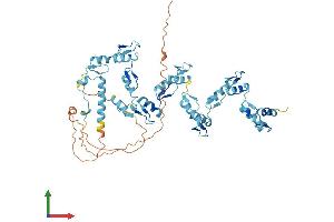 Protein Structure (PS) image for Zinc Finger Protein 490 (ZNF490) (AA 1-529) protein (His tag) (ABIN7545660)