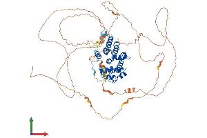 Protein Structure (PS) image for Opioid Growth Factor Receptor (OGFR) (AA 1-677) protein (His tag) (ABIN7550343)