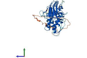 Protein Structure (PS) image for Interferon Regulatory Factor 3 (IRF3) (AA 1-427) protein (His tag) (ABIN7554178)