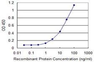 Detection limit for recombinant GST tagged FZD7 is 0. (FZD7 抗体  (AA 155-253))