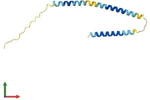 Protein Structure (PS) image for Morf4 Family Associated Protein 1 (MRFAP1) (AA 1-125) protein (His tag) (ABIN7560557)