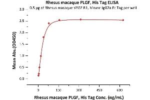 ELISA image for Placenta Growth Factor (PGF) (AA 19-170) (Active) protein (His tag) (ABIN5955014)