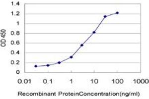 Detection limit for recombinant GST tagged IL8 is approximately 0. (IL-8 抗体  (AA 21-99))