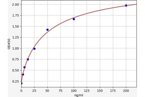 AZGP1 ELISA 试剂盒