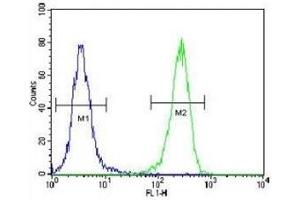 AQP11 antibody flow cytometric analysis of 293 cells (green) compared to a negative control (blue). (AQP11 抗体  (AA 244-271))