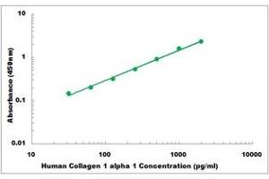 ELISA image for Collagen, Type I, alpha 1 (COL1A1) ELISA Kit (ABIN5526790)