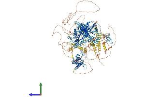 Protein Structure (PS) image for SWI/SNF Related, Matrix Associated, Actin Dependent Regulator of Chromatin, Subfamily A, Member 4 (SMARCA4) (AA 1-1647) protein (His tag) (ABIN7555557)