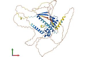 Protein Structure (PS) image for Cysteine-Serine-Rich Nuclear Protein 3 (CSRNP3) (AA 1-585) protein (His tag) (ABIN7546808)