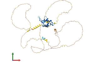 AlphaFold protein structure predicition of Human Recombinant FOXA2 Protein, UniprotID Q9Y261